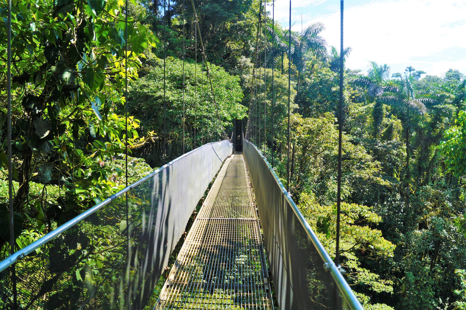 Hängebrücke