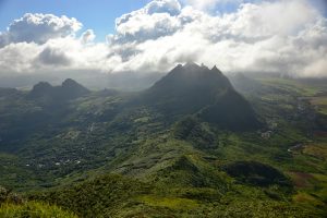 mauritius black river np