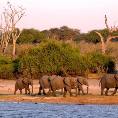 Botswana Rundreise Botswana Rundreise