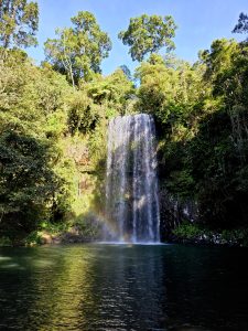 Millaa Millaa Falls