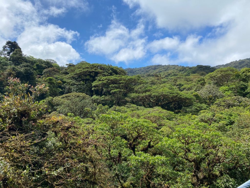 Traumfängerkunden on Tour in Costa Rica
